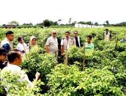 Satgas Pangan Mabes Polri Pastikan Stok Aman, Cabai Rawit Masih Tinggi di Kediri