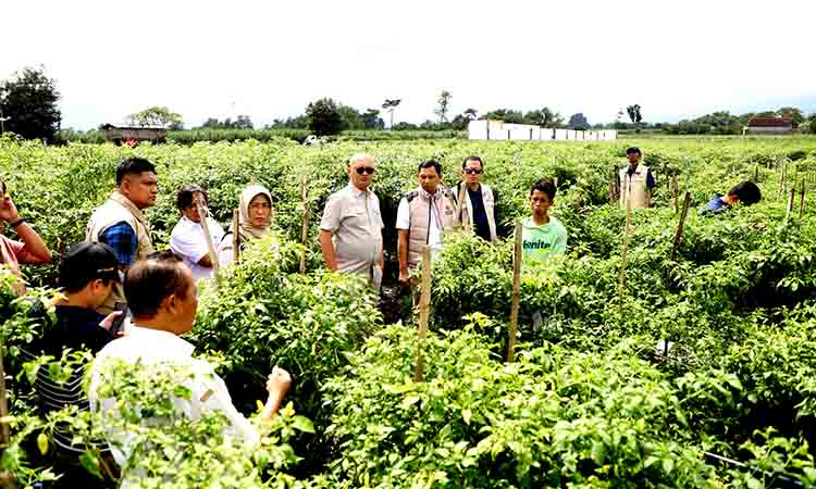 Satgas Pangan Mabes Polri Pastikan Stok Aman, Cabai Rawit Masih Tinggi di Kediri
