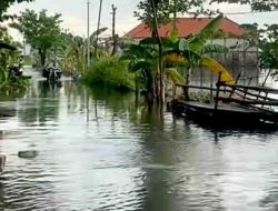 Tiga Bulan Terendam, Warga Bengawan Jero Lamongan Tuntut Solusi Nyata