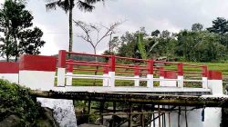 49edc00f f62b 4bec 8355 626ac1524553