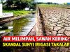 Air Melimpah, Sawah Kering: Skandal Sunyi Irigasi Takalar, Peran P3A Dipertanyakan
