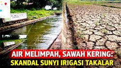 Air Melimpah, Sawah Kering: Skandal Sunyi Irigasi Takalar, Peran P3A Dipertanyakan