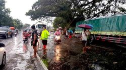 Gerak Cepat Polsek Geneng Evakuasi Pohon Tumbang, Jalur Ngawi–Madiun Kembali Lancar