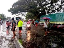 Gerak Cepat Polsek Geneng Evakuasi Pohon Tumbang, Jalur Ngawi–Madiun Kembali Lancar