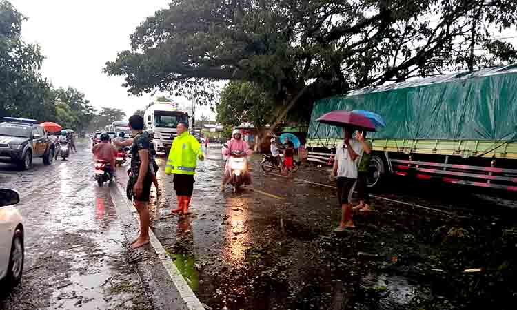 Gercep, Polsek Geneng Evakuasi Pohon Tumbang di Jalur Ngawi–Madiun, Lalu Lintas Kembali Normal