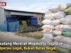 Klarifikasi Operasional Gudang Meniran di Mojokerto: Bukan Beras Ilegal, Murni Pakan Ternak