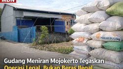 Gudang Meniran di Mojokerto mdn