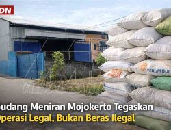 Klarifikasi Operasional Gudang Meniran di Mojokerto: Bukan Beras Ilegal, Murni Pakan Ternak
