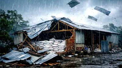 Cuaca Ekstrem di Bojonegoro: Gudang Pupuk Rusak, Pohon Tumbang di Gayam