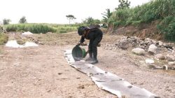 IMG 20260406 WA0026 copy 1280x768