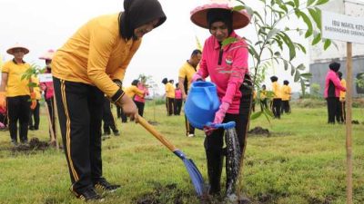 IMG 20260422 WA0030 copy 1248x748