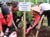 Hari Bumi, Polres Madiun Gandeng Perhutani Tanam Ribuan Bibit