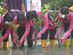 Sambut HUT ke-46, YKB Tanjung Perak Tanam Mangrove Pulihkan Lahan Kritis