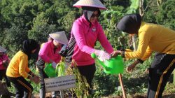 Gerakan Tanam Pohon, Polres Bondowoso Hijaukan Bukit Bintang