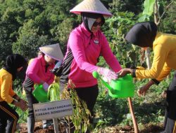 Gerakan Tanam Pohon, Polres Bondowoso Hijaukan Bukit Bintang