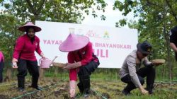 Polres Bojonegoro Sulap Lahan Kosong Jadi Kebun Jagung Wujudkan Swasembada Pangan