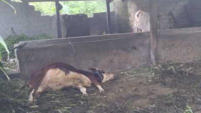 IMG 20260430 WA0008 copy 960x576