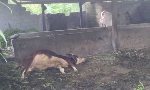 IMG 20260430 WA0008 copy 960x576