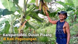 Karepattoddo, Dusun Pisang di Kaki Pegunungan