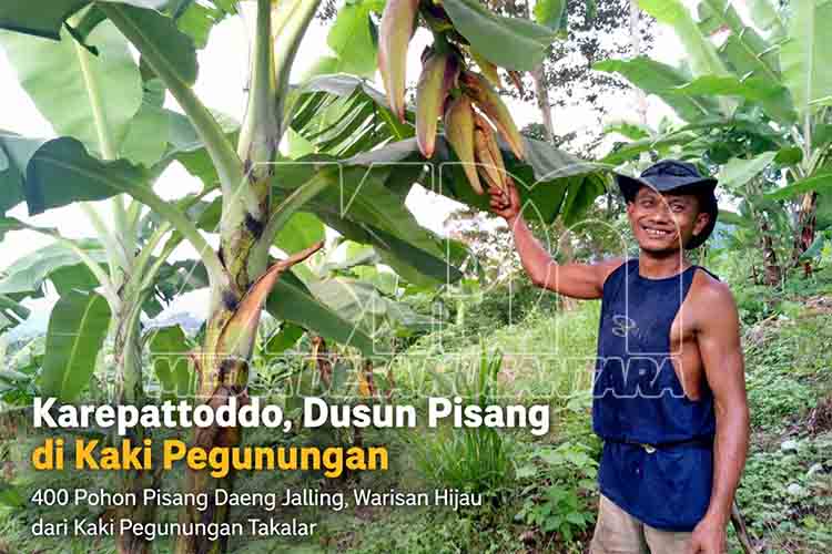 Karepattoddo, Dusun Pisang di Kaki Pegunungan mdn