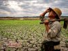 Menanti Hujan, Menjaga Harapan: Kisah Petani Barugaya di Sawah Kering