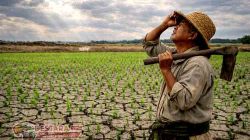 Menanti Hujan, Menjaga Harapan: Kisah Petani Barugaya di Sawah Kering