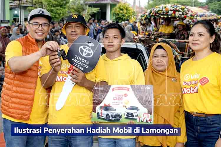 Program Viu–Telkomsel MDN