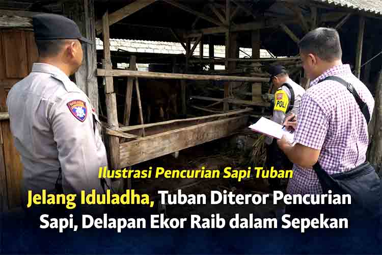 Sapi Hilang Bergiliran di Tuban