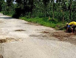 Warga Tuna Bicara Turun Tangan, Jalan Rusak di Sumberbendo Lamongan Jadi Sorotan