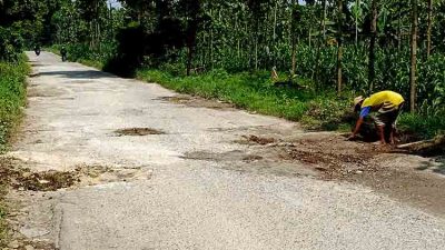 Warga Tuna Bicara Turun Tangan, Jalan Rusak di Sumberbendo Lamongan Jadi Sorotan