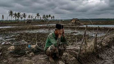 Banjir merusak ekonomi petani Lamongan MDN UB
