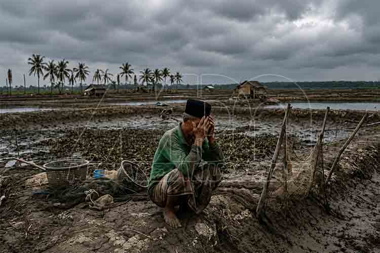 Banjir merusak ekonomi petani Lamongan MDN UB
