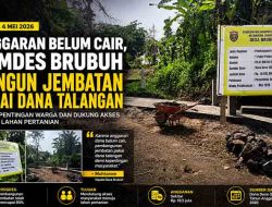 Dana Desa Belum Cair, Pemdes Brubuh Bangun Jembatan Pakai Dana Talangan