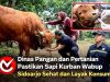 Dinas Pangan dan Pertanian Pastikan Sapi Kurban Wabup Sidoarjo Sehat dan Layak Konsumsi