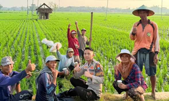 IMG 20260511 WA0025 copy 1176x706