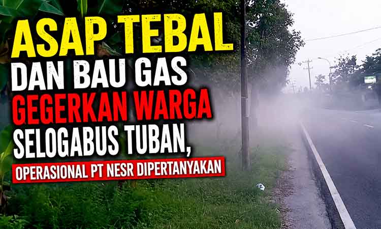 Kabut tebal di jalanan Selogabus