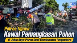 Polres Ngawi Kawal Pemangkasan Pohon di Jalan Raya Paron Demi Keselamatan Pengendara