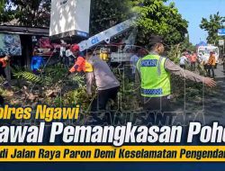 Polres Ngawi Kawal Pemangkasan Pohon di Jalan Raya Paron Demi Keselamatan Pengendara