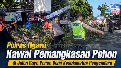 Kawal Pemangkasan Pohon di Paron MDN