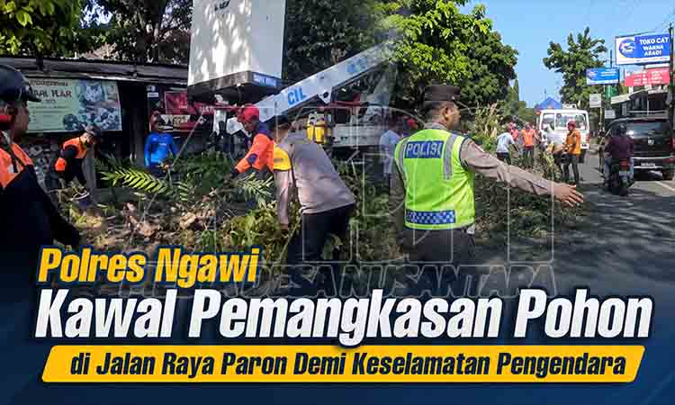 Kawal Pemangkasan Pohon di Paron MDN