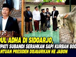 Idul Adha di Sidoarjo, Bupati Subandi Serahkan Sapi Kurban 800 Kg, Bantuan Presiden Disalurkan ke Jabon