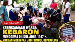 Kebersamaan Warga Kebaron Menggema di Idul Adha 1447 H, Kurban Melimpah Jadi Simbol Kepedulian
