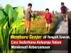 Memburu Genjer di Tengah Sawah, Cara Sederhana Keluarga Tuban Menikmati Kebersamaan