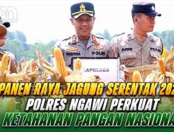 Panen Raya Jagung Serentak Kuartal II 2026, Polres Ngawi Dukung Ketahanan Pangan Nasional Bersama Presiden RI