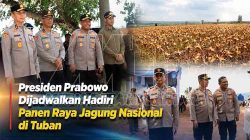 Presiden Prabowo Dijadwalkan Hadiri Panen Raya Jagung Nasional di Tuban