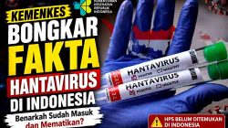 Kemenkes Tegaskan Indonesia Belum Temukan Kasus Hantavirus Tipe HPS