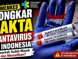 Kemenkes Tegaskan Indonesia Belum Temukan Kasus Hantavirus Tipe HPS