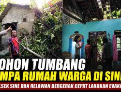 Pohon Tumbang Timpa Rumah Warga di Sine, Polsek Sine dan Relawan Bergerak Cepat Lakukan Evakuasi
