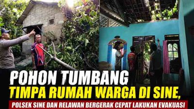 Pohon Tumbang