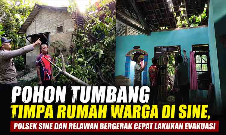 Pohon Tumbang